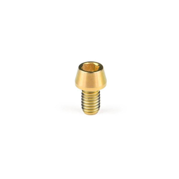 śruba M6x10 S stare złoto - LBS Precision ti bolts-6200