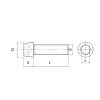 śruba M5x35 S - LBS Precision ti bolts-9994